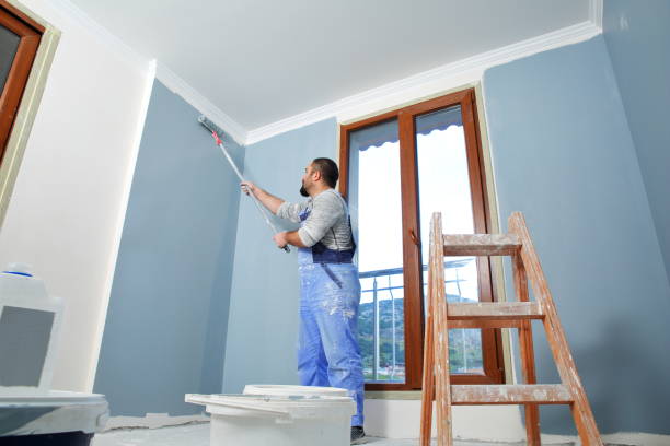 Best Wallpaper Removal and Painting  in North Valley, NM