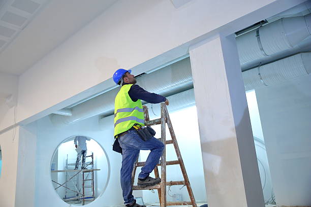 Best Eco-Friendly and Low-VOC Painting  in North Valley, NM